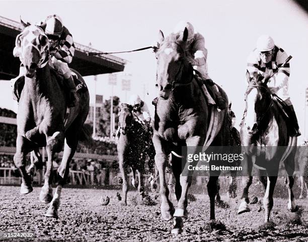 Ferdinand ridden by William Shoemaker holds on to nose out Alysheba as Judge Angelucci comes in 3rd in the $3 million Breeder's Cup Classic at...