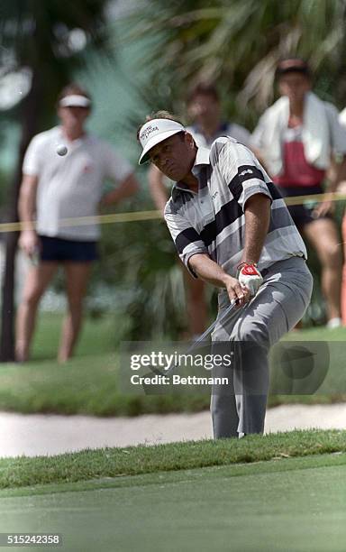 Palm Beach Gardens, Fla.: Ray Floyd, was having a good second round on the PGA National Club course as he chips close to the hole on the 5th hole....