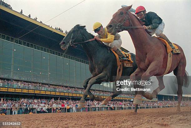 Baltimore: Sunday Silence with Pat Valenzuela up noses out Easy Goer with Pat Day up to win at the wire the 114th running of the Preakness Stakes.