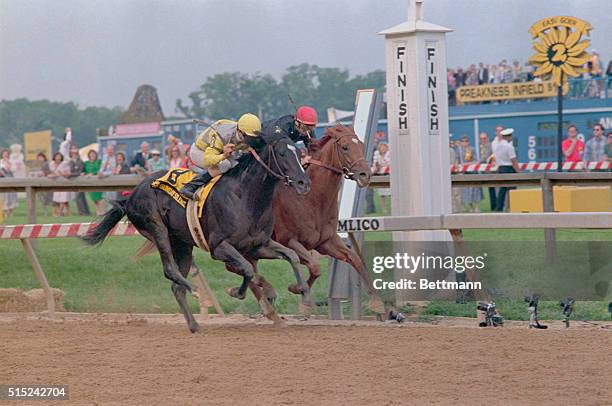 Baltimore: Jockey Pat Valenzuela leads Sunday Silence into the final stretch past Easy Goer with Pat Day up to win the 114th running of the Preakness...