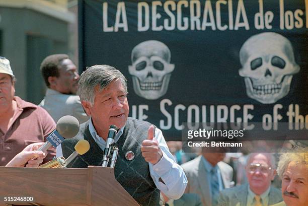 United Farm Workers leader Cesar Chavez protesting the use of toxic pesticides in the growing of table grapes, that are harmful to both consumers and...