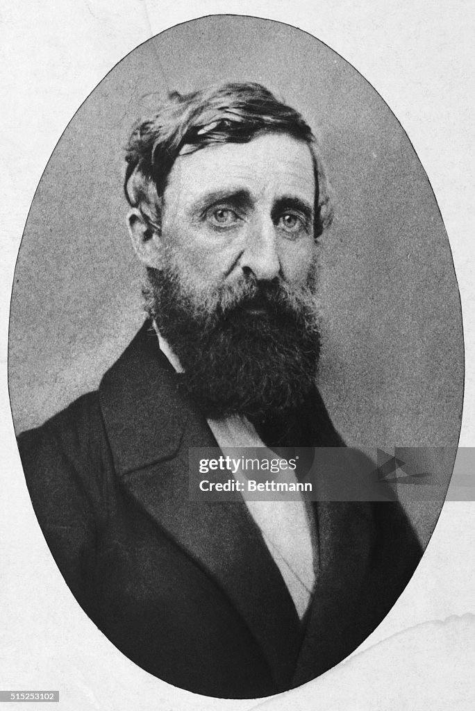 Portrait of Author Henry David Thoreau