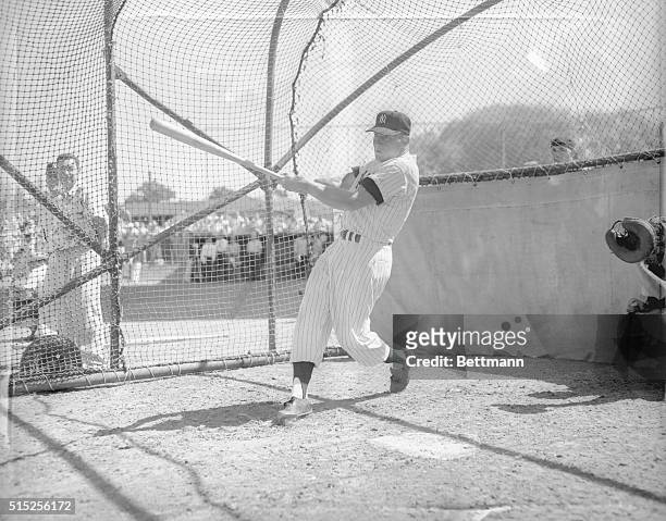 Mickey Mantle, New York Yankees' top slugger takes his first cuts in the batting cage on the opening day of 1955 Spring Training at St. Petersburg....
