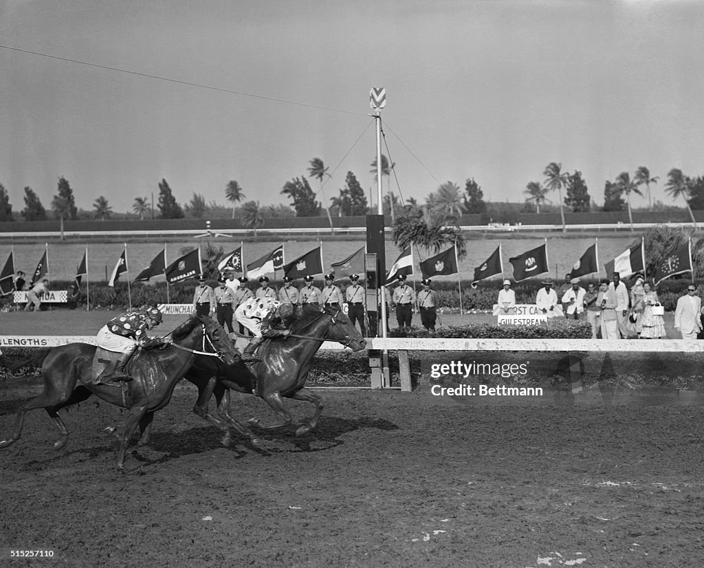 Horses Running in A Race