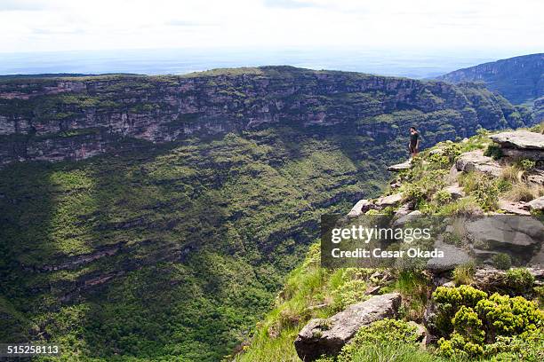 mann in chapada diamantina - chapada diamantina stock-fotos und bilder