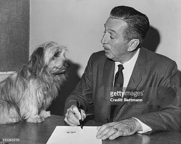 Having put his paw print on the dotted line, Bobby, a skye terrier from the north of Scotland, is signed to a Hollywood contract by Walt Disney. The...