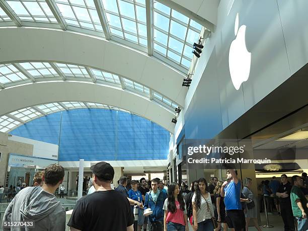 Crowds line up to purchase the new Apple iPhone 6 and iPhone 6 Plus at Westfield Topanga mall in Canoga Park, California, on September 19, 2014....