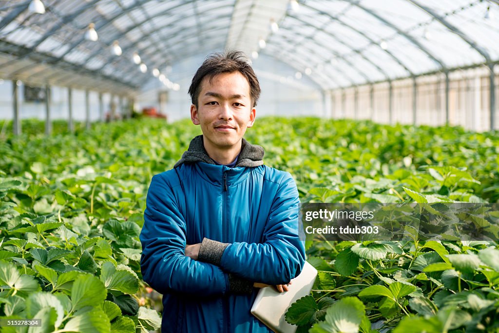 Mature farmer with a tablet computer in a greenhouse