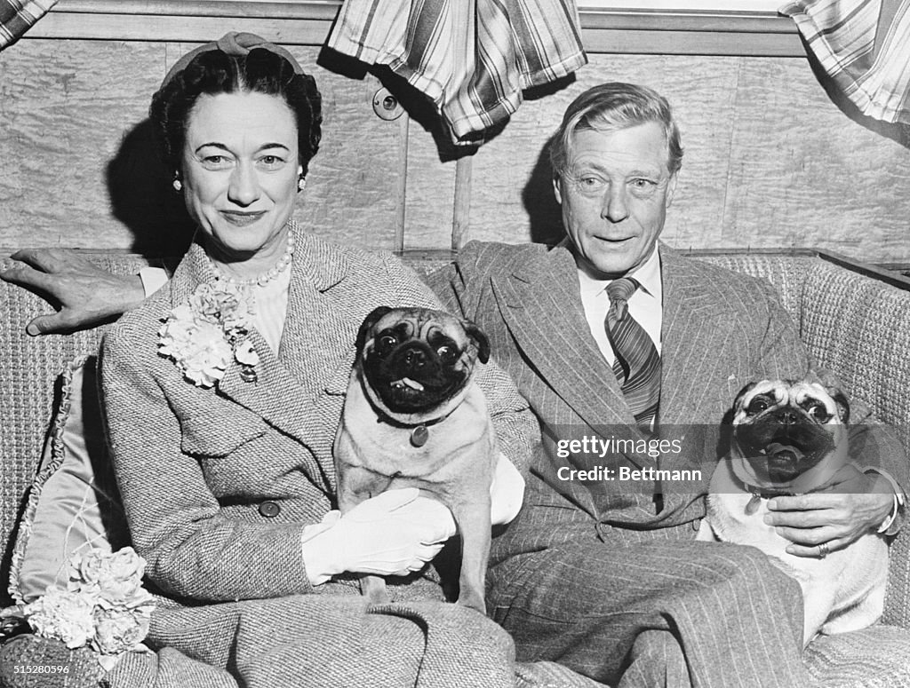 Duke and Duchess of Windsor Posing with Their Dogs