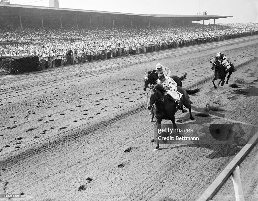Horses Running in A Race