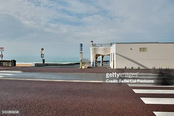cross the road at capbreton of landes department in aquitaine in south-western france. - les landes stock pictures, royalty-free photos & images