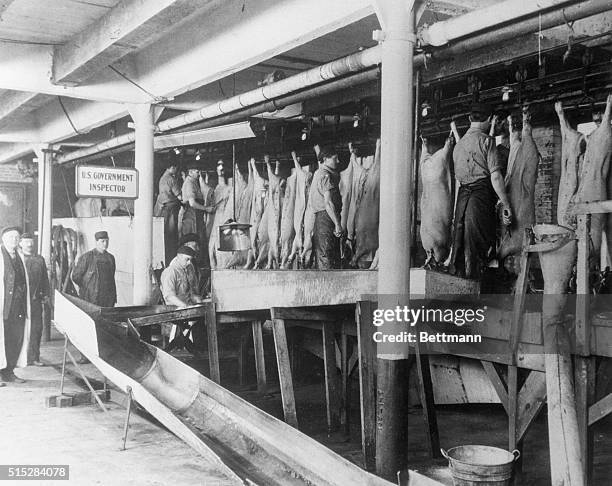 From the colonial days to the opening of the Union Stock Yards in Chicago, in 1865, the production of livestock and the processing of the meat was...