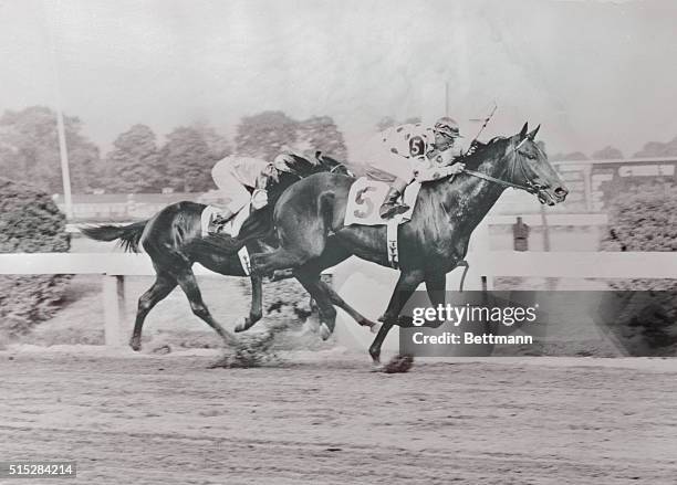 Nashua, urged on by jockey Eddie Arcaro, scooted across the finish line three-quarters of a length ahead of Saratoga to win the 79th running of the...