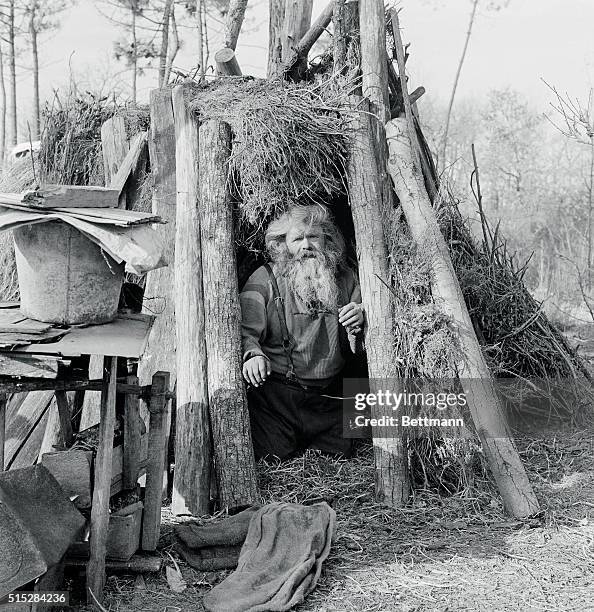 France's "Robinson Crusoe." Angouleme, France: Deep in the Charentes Forest of France, near Angouleme, sixty year old Elysee Vilatte peers from his...