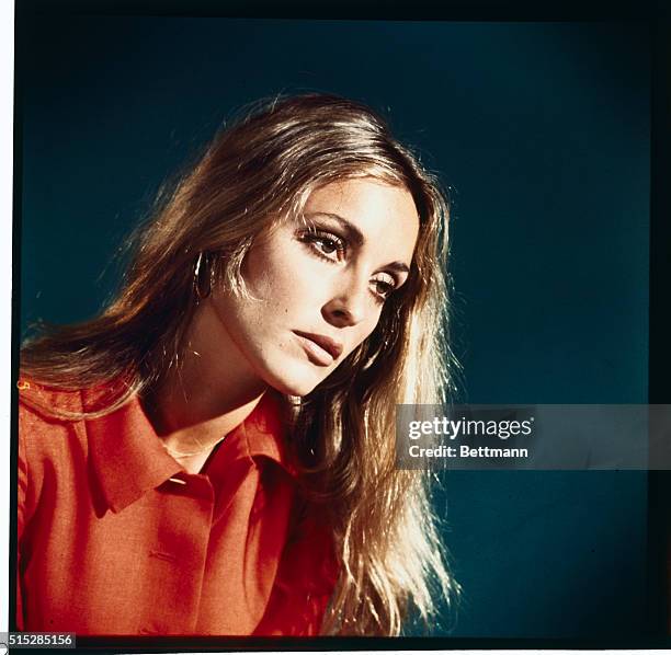 Hollywood, California: Miscellaneous studio publicity photo of actress Sharon Tate, who was found slain August 9th in the Bel Air home of her...