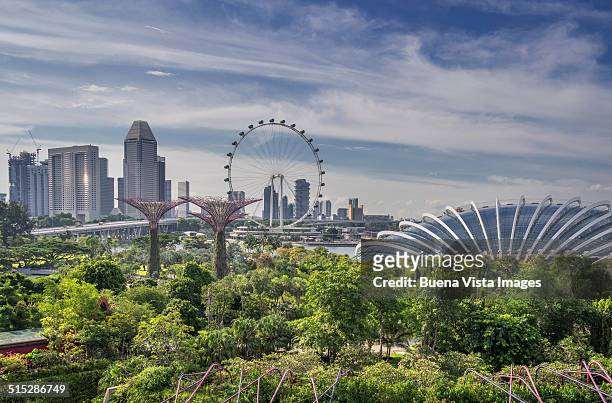 singapore, gardens by the bay - singapore photos et images de collection