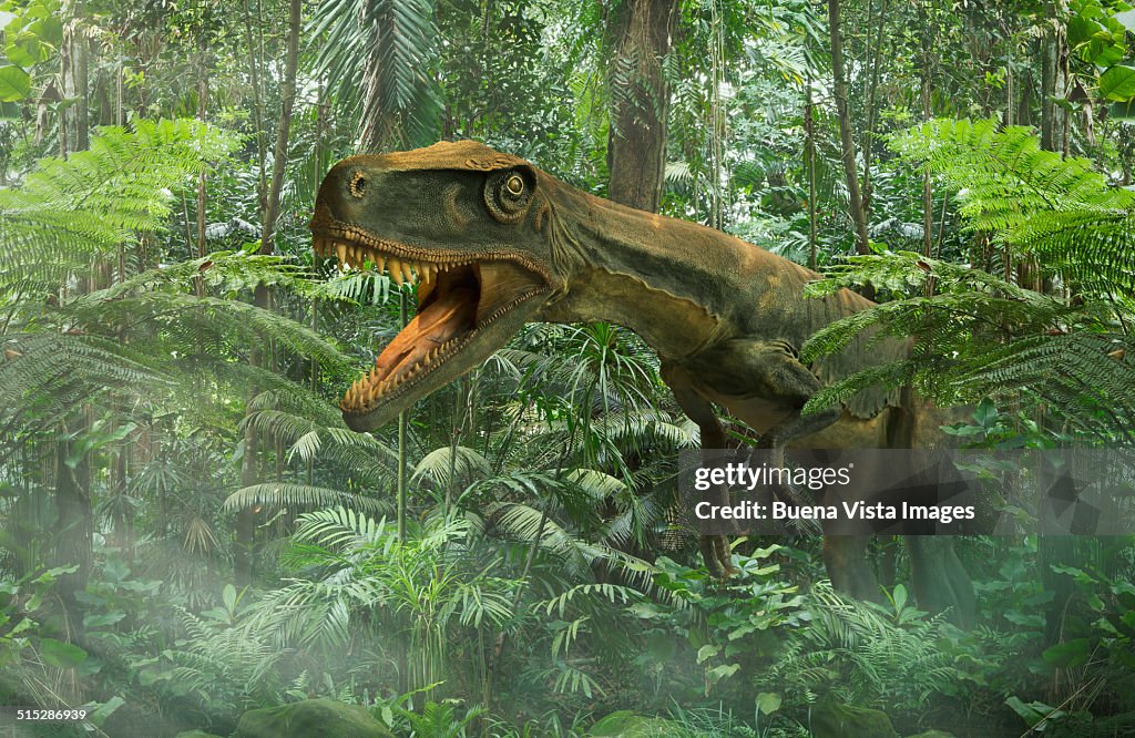 Dinosaur in a rain forest