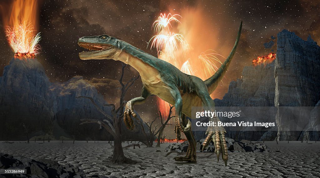 Dinosaur in a desert among volcanoes