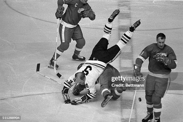 Chicago's Bobby Hull is dumped by Detroit's Ron Harris during the first period of the Red Wings-Black Hawks game 1/22. Hull was bringing the puck...