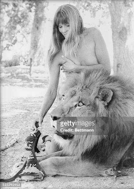 Hot weather in the Los Angeles area plus a publicity agent with a client who was a lion and a pretty model are most of the ingredients for a picture....