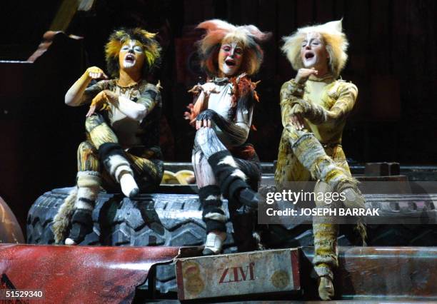 Andrew Lloyd Webber's British cast perform Cats, the world's longest-running musical, on the opening night of the annual Beiteddine Festival, in the...