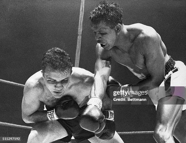 Chicago, IL- Striking with the fury of a tiger and the cunning of a fox, Ray Robinson presses his attack to the head of Jake LaMotta in the last...