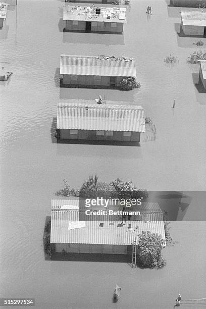 San Pedro Sula, Honduras-A man stands on top of a flooded house near San Pedro, keeping with him on the roof a few of the things he was able to save...