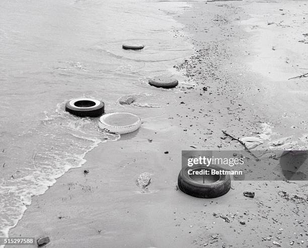 Chicago, IL- Belmont Harbor, on Lake Michigan, presented this filthy scene after it had been used as a dumping ground for all kinds of debris.