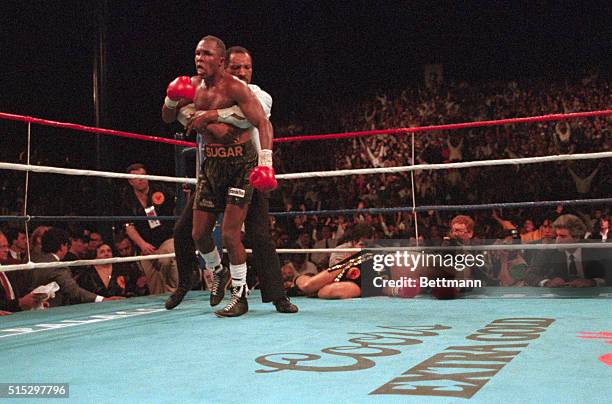 Referee Richard Steele restrains Sugar Ray Leonard in the ninth round following his knockdown of Donny Lalonde. Sugar Ray defeated Lalonde by KO in...