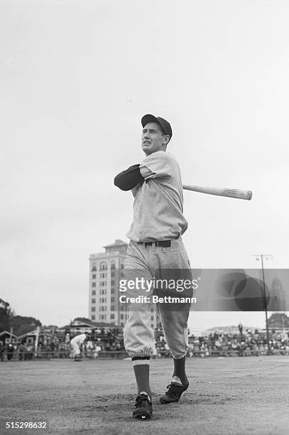 Sarasota, Florida-Outfielder Ted Williams, who batted .327 during his rookie season with the Boston Red Sox last year, shown in batting pose at the...