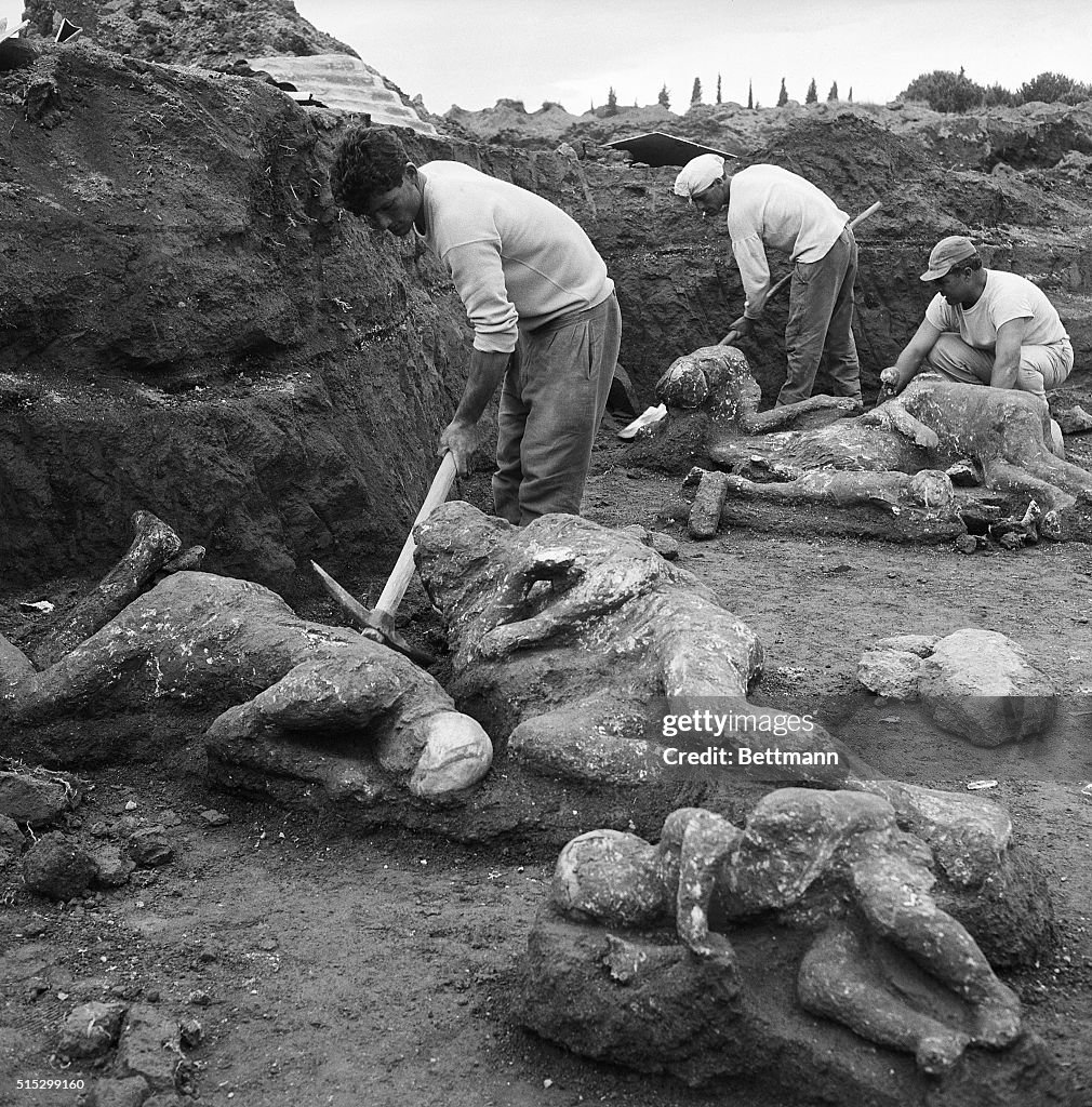 Excavating Mummified Pompeii Bodies