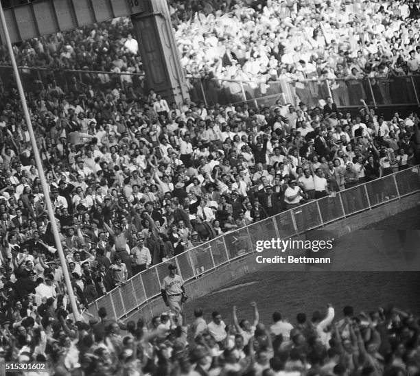 New York, NY-While Yankee fans throw up their arms in jubliation and scream victoriously in the eighth inning of today's Yankee-Red Sox game,Boston's...