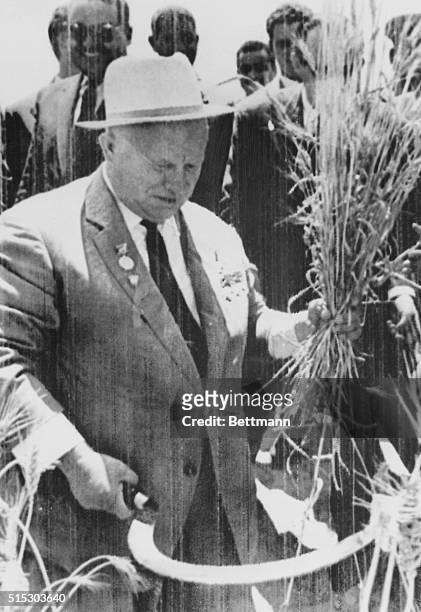 Soviet Premier Nikita Sergeyevich Khrushchev sickles a bushel of wheat on at 20,000-acre farm, located about 30 miles south of Alexandria, which has...