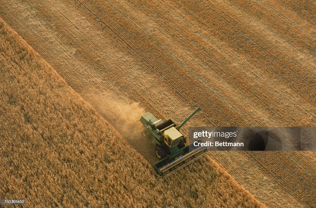 Thrasher Moves Through Wheat Field