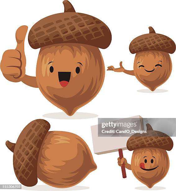 acorn cartoon set c - nuss stock-grafiken, -clipart, -cartoons und -symbole