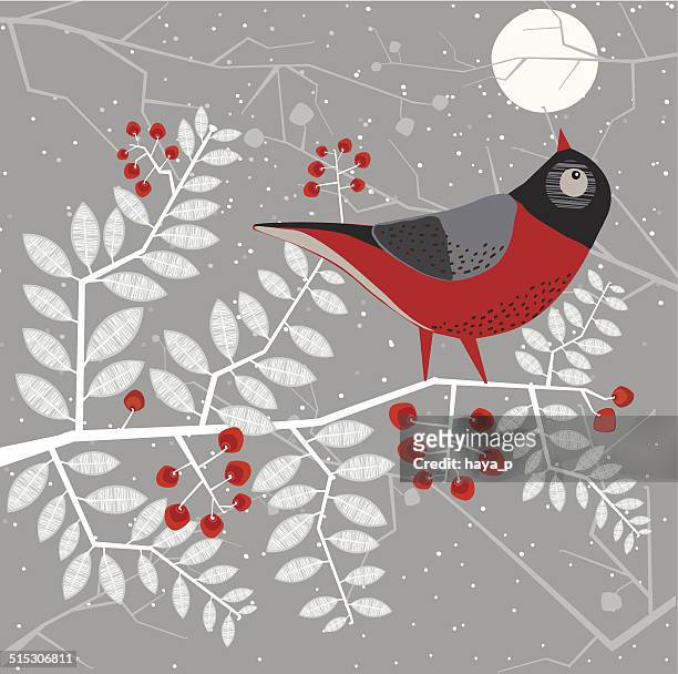 ilustrações de stock, clip art, desenhos animados e ícones de pássaro cardeal na árvore, olhando para o lua - blue cardinal bird