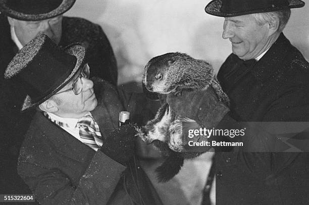 Punxsutawney, Pennsylvania: Groundhog, Punxsutawney Phil, made his annual weather prediction and appearance at Cobbler's knob 2/2. He saw his shadow...