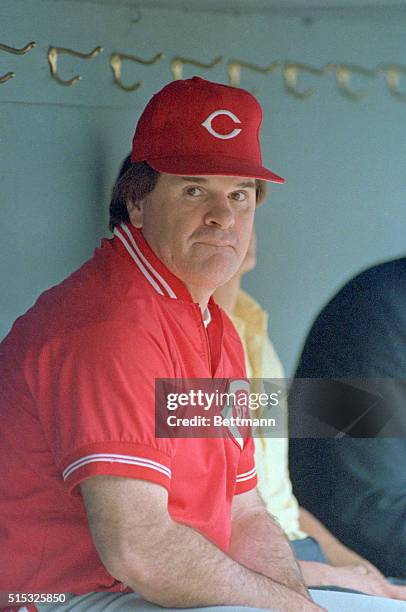 Atlanta: Reds' manager Pete Rose bites his lips in the dugout while watching his team go through workouts just prior to their evening matchup with...