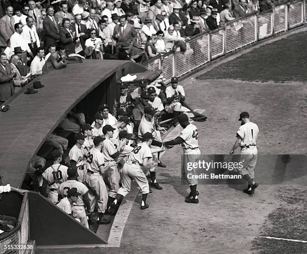 Brooklyn players rise from their Polo Grounds dugout to congratulate teammate Jackie Robinson , after he hit a homer with Pee Wee Reese aboard in the...