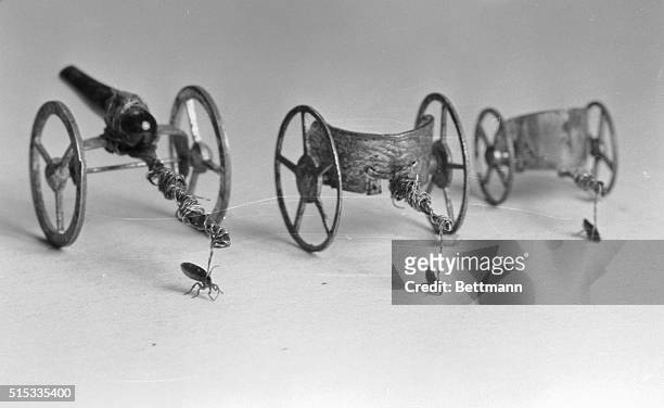 Looks like a series of icy ridges over which this chariot is traveling. Actually, it's a man's finger and the chariot is a tiny miniature being...