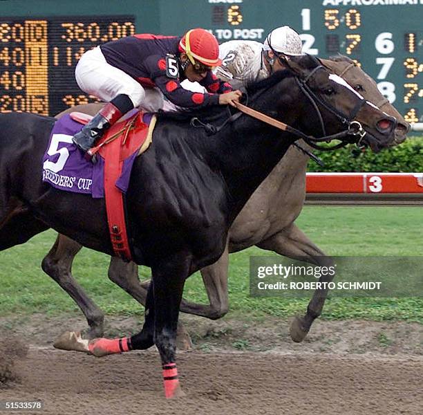 Artax ridden by Jorge Chavez crosses the finish line ahead of Kona Gold ridden by Alex Solis to win the Breeders' Cup Sprint 06 November at...