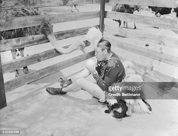 Wearing specially designed "hatching pants," professional screwball Jim Moran sits in corral in the Los Angeles Ostrich farm during the third day of...