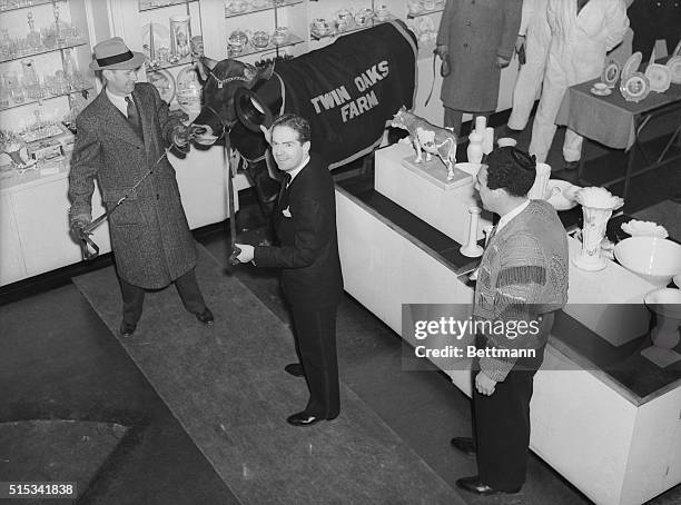 Bull in a china shop" became a reality, when orchestra leader Fred Waring led a bull through a china shop in New York City, December 12, 1939. Waring...