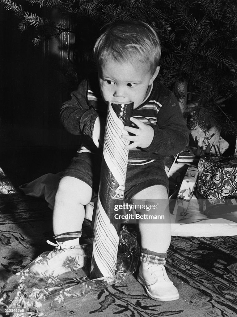 Toddler biting giant peppermint stick