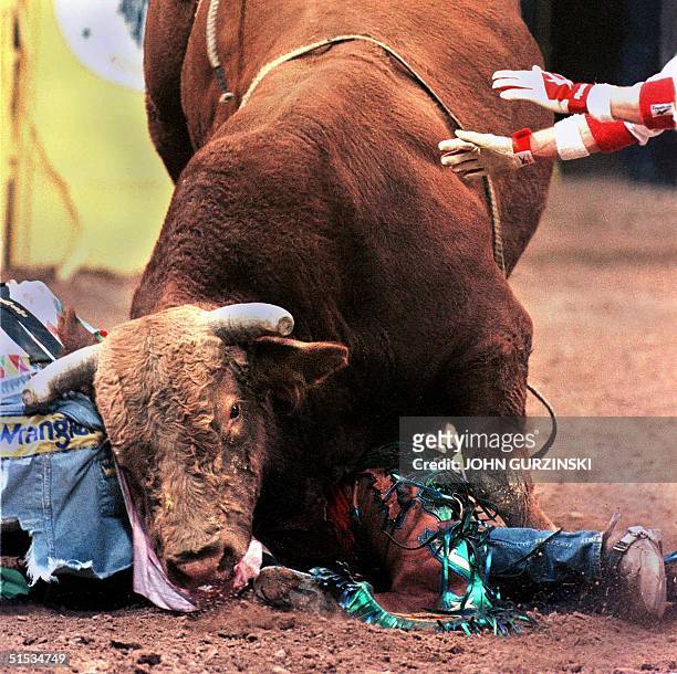 The hands of a rodeo bullfighter reach in to help bull rider Josh O'Byrne of Glenrose, Texas, who is stuck under "Viking" after being thrown during...