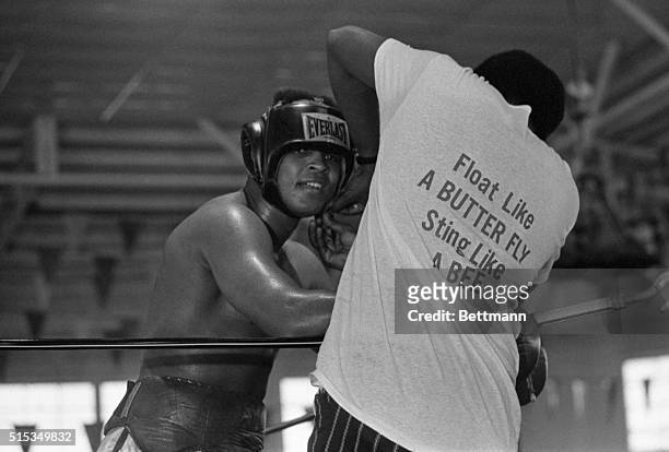 With his famous motto looming from the tee-shirted back of one of his trainers, Muhammad Ali has his head gear removed after his final sparring round...