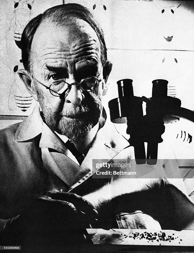 Thomas Hunt Morgan with Microscope