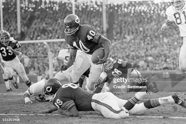Chicago, IL- Chicago Bears RB Gale Sayers finds an open spot and leaps over teammate, Bob Wallace , rushing for 20 yards in the 2nd quarter of the...