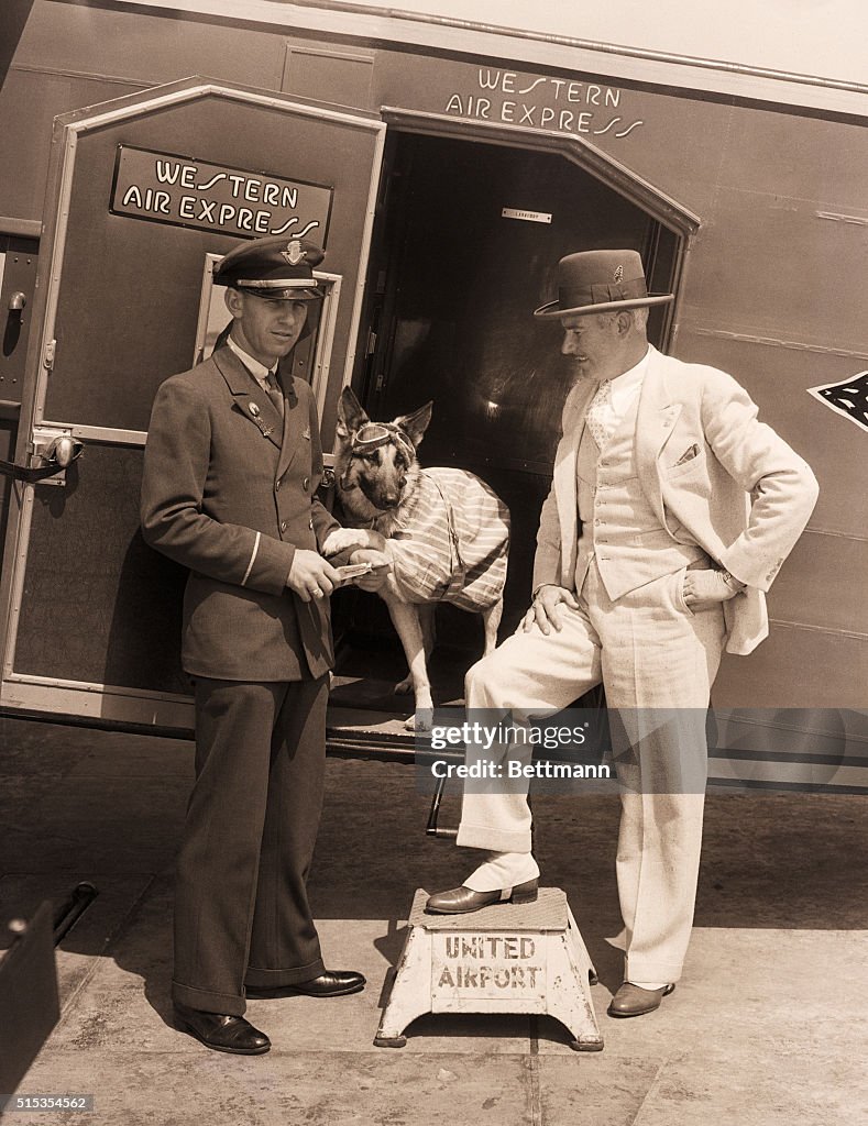 Rin Tin Tin at Airport with Master