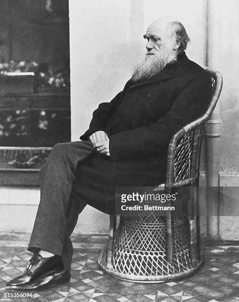 Charles Darwin 1875, photographed by H.P. Robinson.